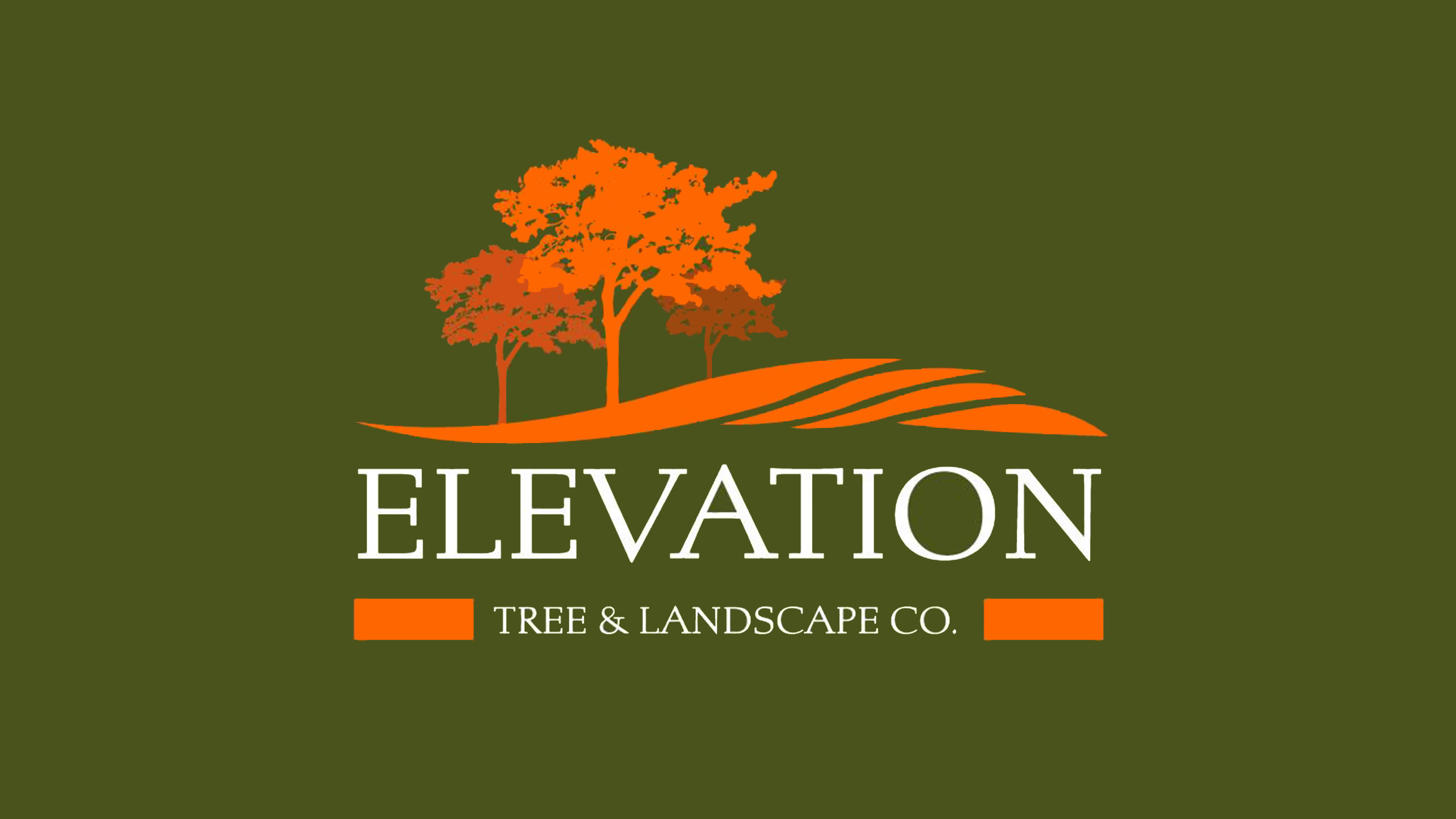 Elevation Tree and Landscape Co. Logo